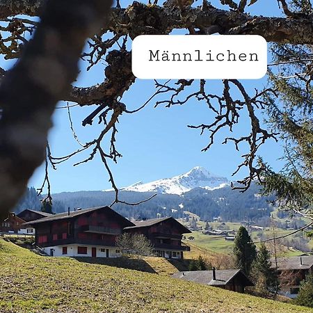 Apartment Lilalama Grindelwald Eksteriør billede