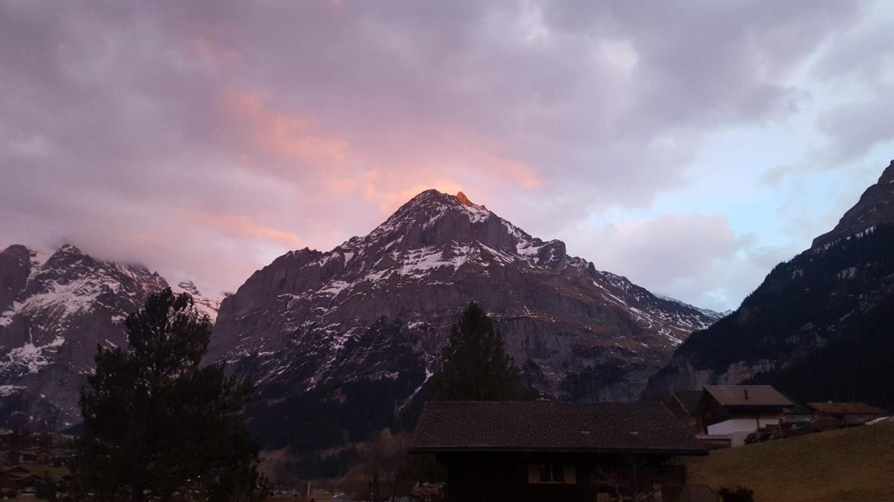 Apartment Lilalama Grindelwald Eksteriør billede