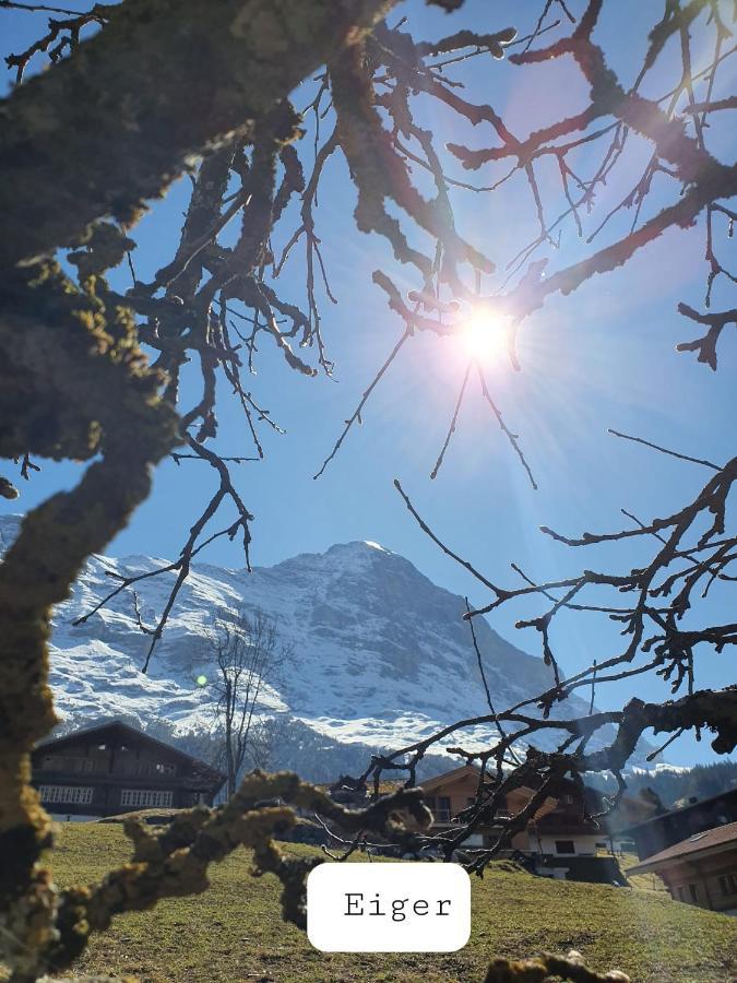 Apartment Lilalama Grindelwald Eksteriør billede