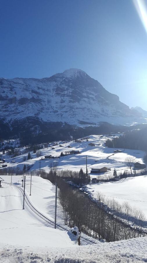 Apartment Lilalama Grindelwald Eksteriør billede