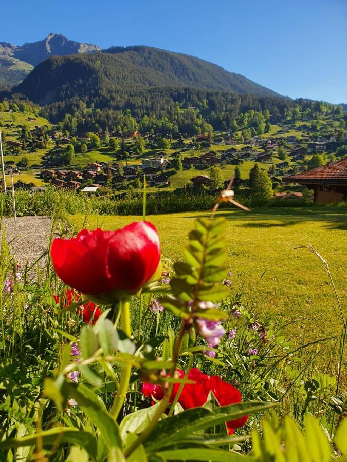 Apartment Lilalama Grindelwald Eksteriør billede